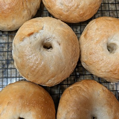 Plain Sourdough Bagels