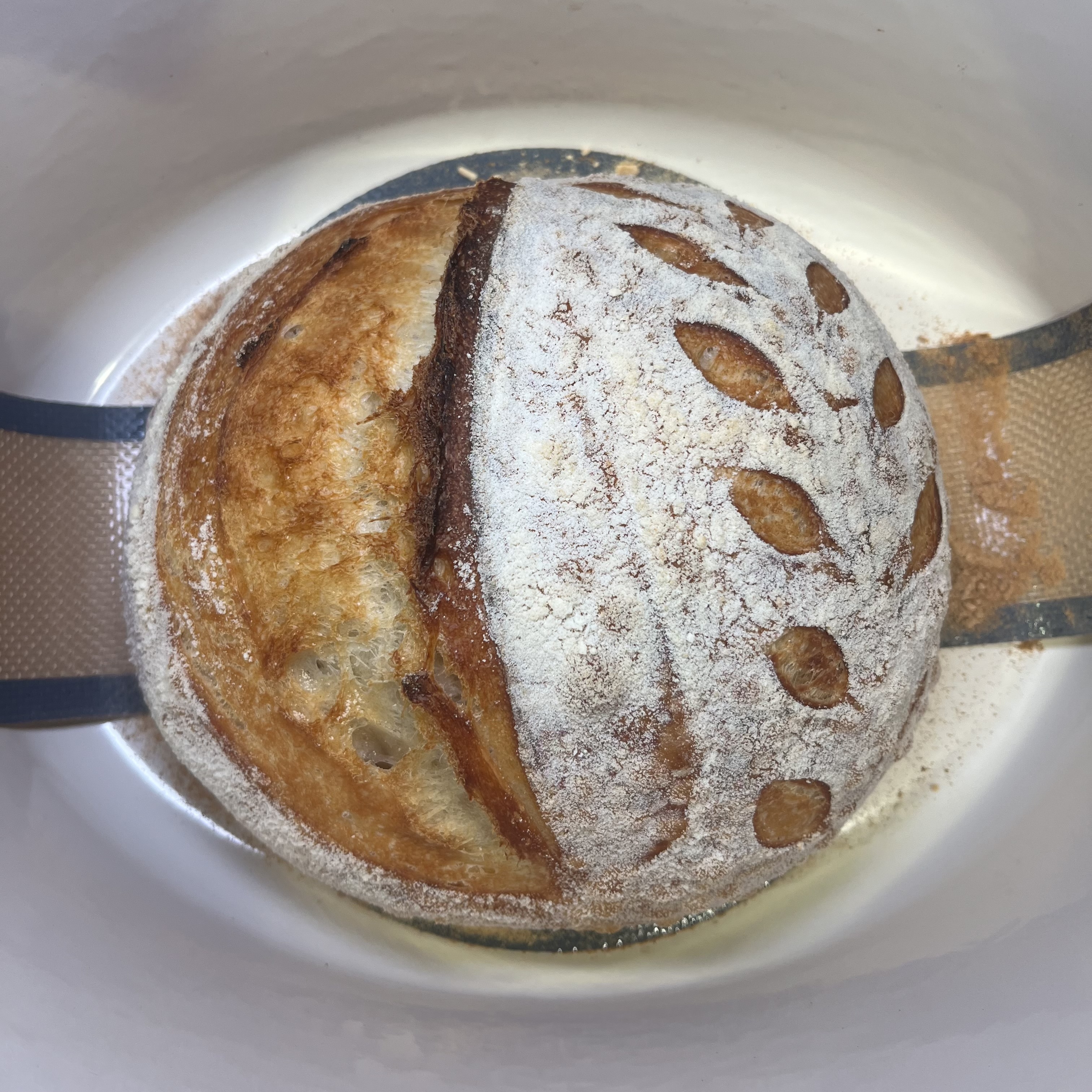 Sourdough Loaf - Plain