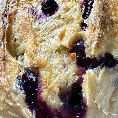 Blueberry Lemon Sourdough 