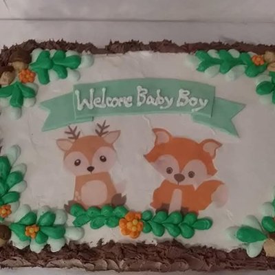 Baby Shower Cakes