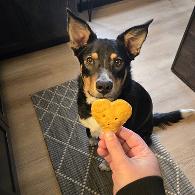 Puppy Biscuits (4 Treats)