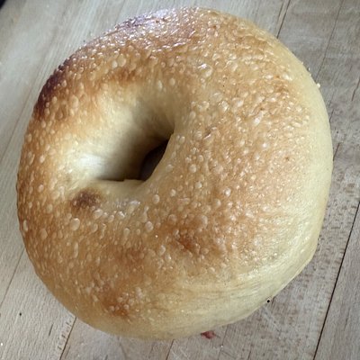 Plain Bagel