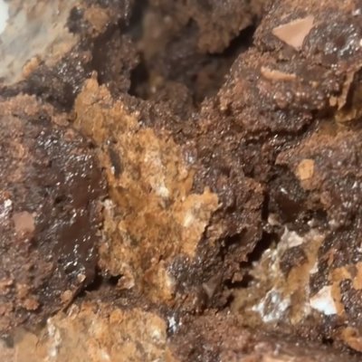 Brownies Pan