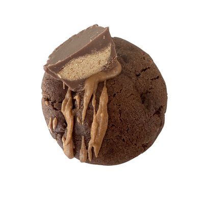 Chocolate Peanut Butter Cookie