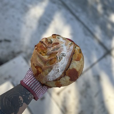Cheddar Sourdough