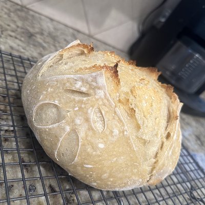 Sourdough Loaf