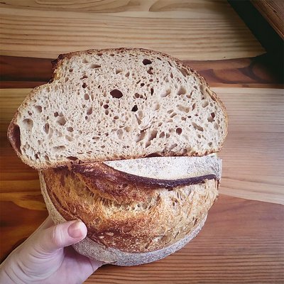 Whole Wheat Sourdough 