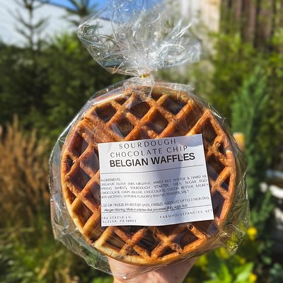 Chocolate Chip Belgian Waffle (4 Pack)
