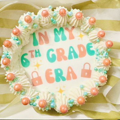 TS12 Chocolate Chip Mini Cake 