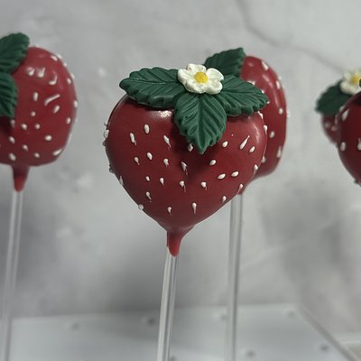 Custom Order Cakepops (12)