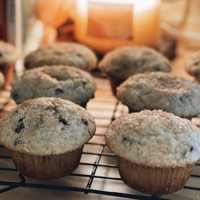 6 Pack Chocolate Chip Muffin