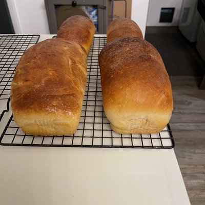 Copy Cat Wonder Bread Sour Dough Loaf 8x4