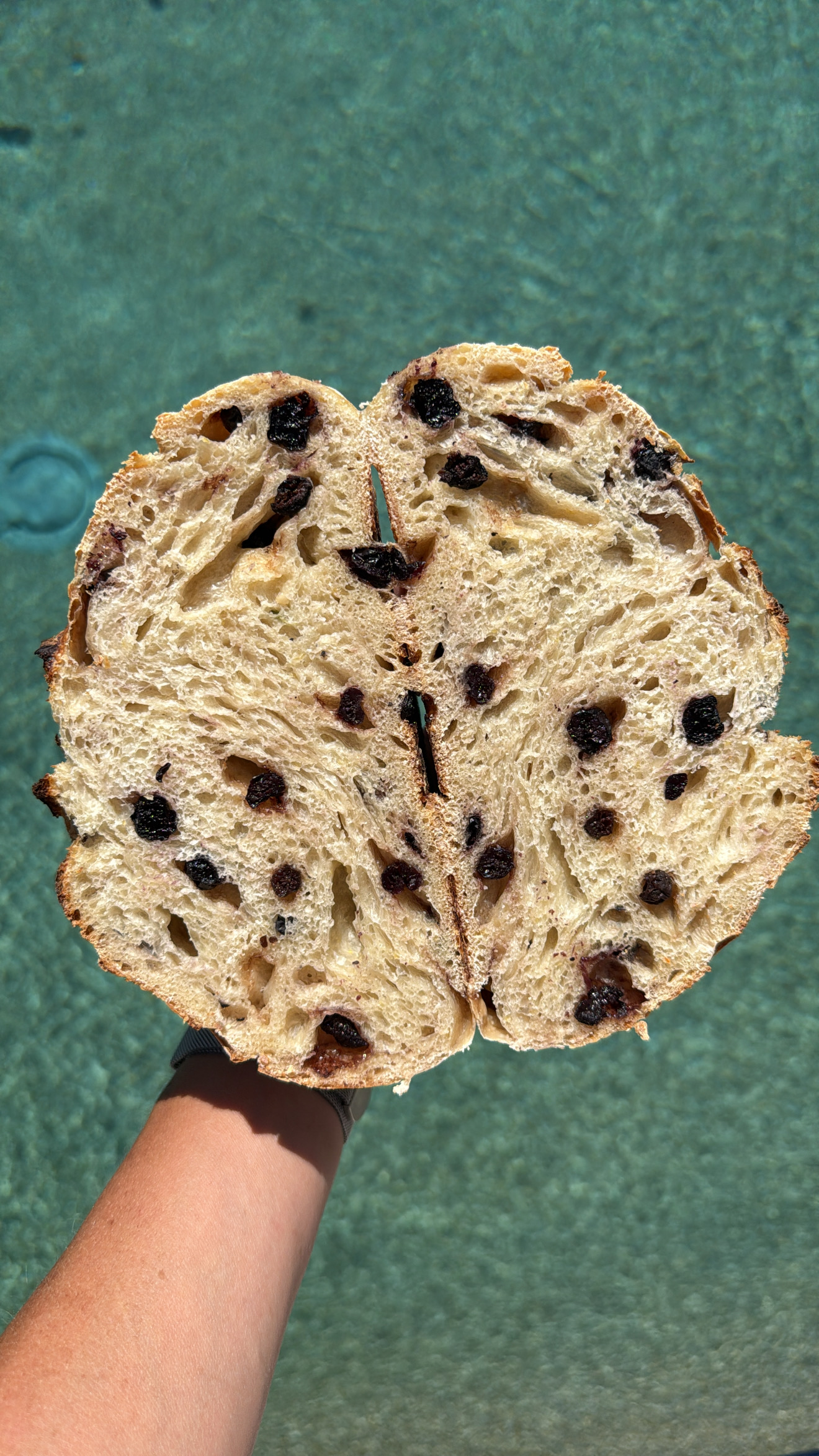 Lemon Blueberry Sourdough