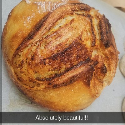 Italian Mozzarella 