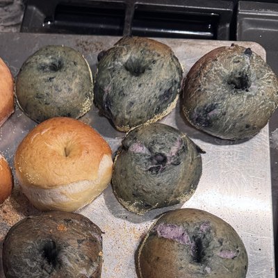 Blueberry 🫐 Bagels Package Of 6 
