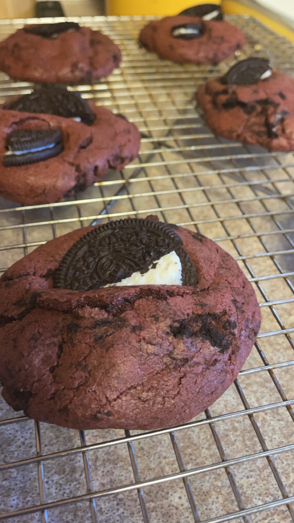 Standard Cookies