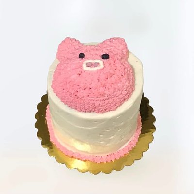 Custom Shaped Cake