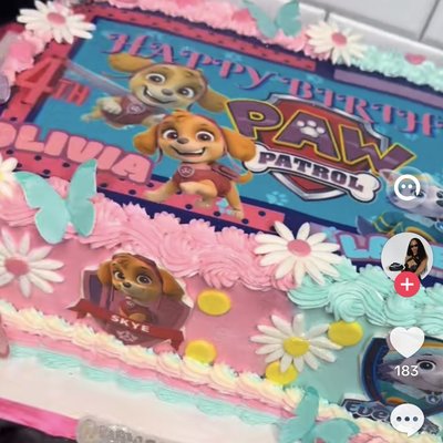 PW Patrol Sheet Cake