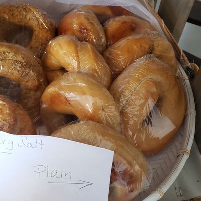 Plain Bagel