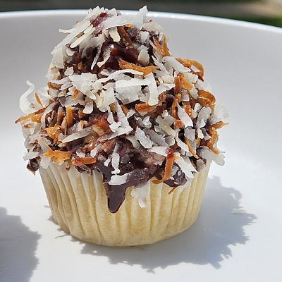 Toasted Coconut Macaroon (6-Pack)