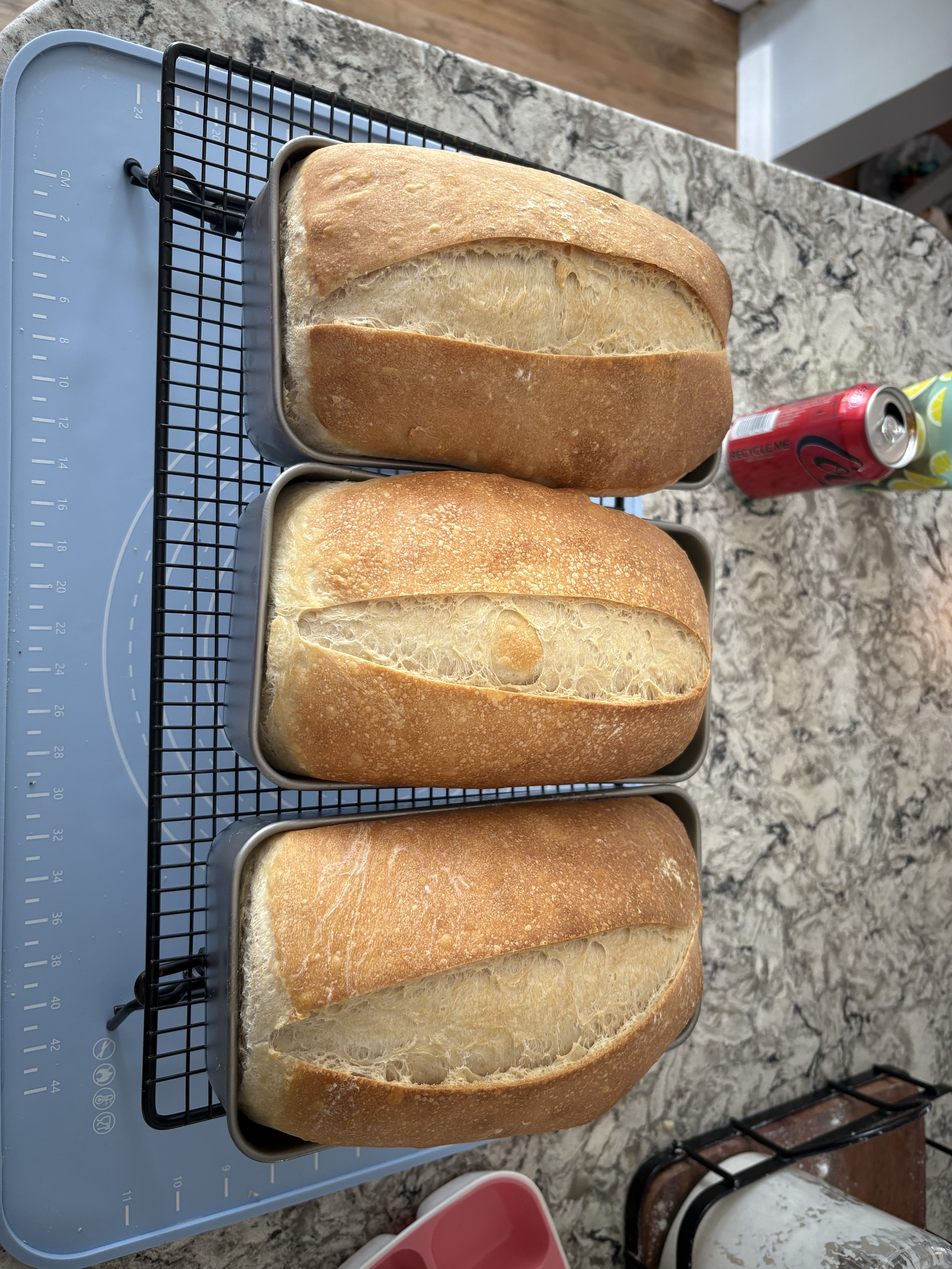 Honey Sourdough Sandwich Loaf
