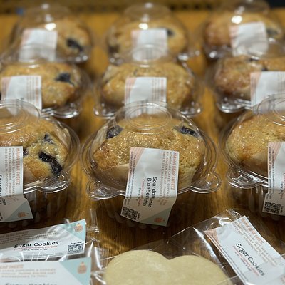 Sourdough Lemon Blueberry Muffin