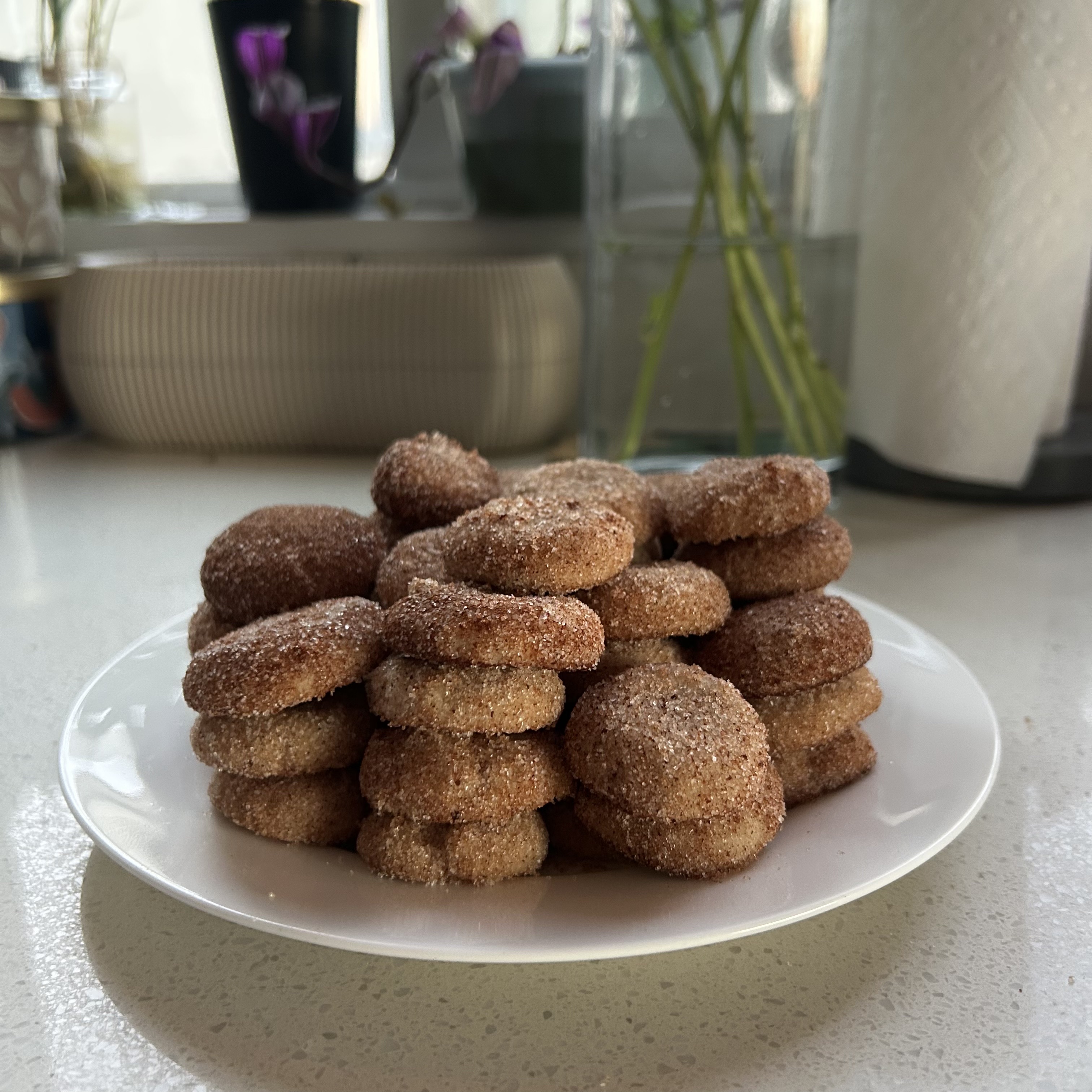 Pan De Polvo