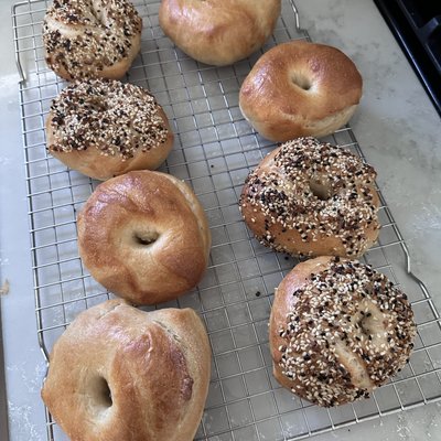 Sourdough Bagels 