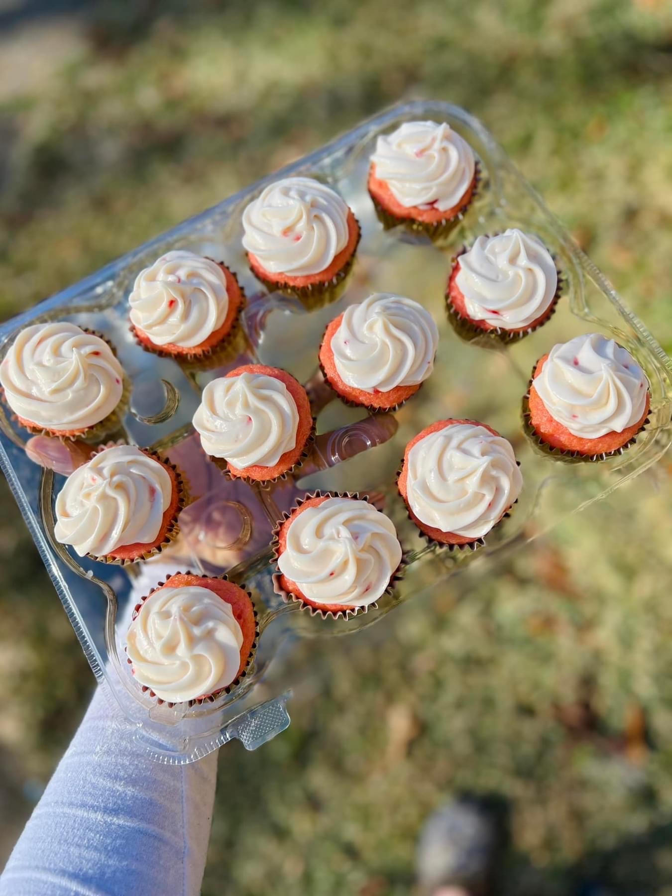 Strawberry Cupcakes 