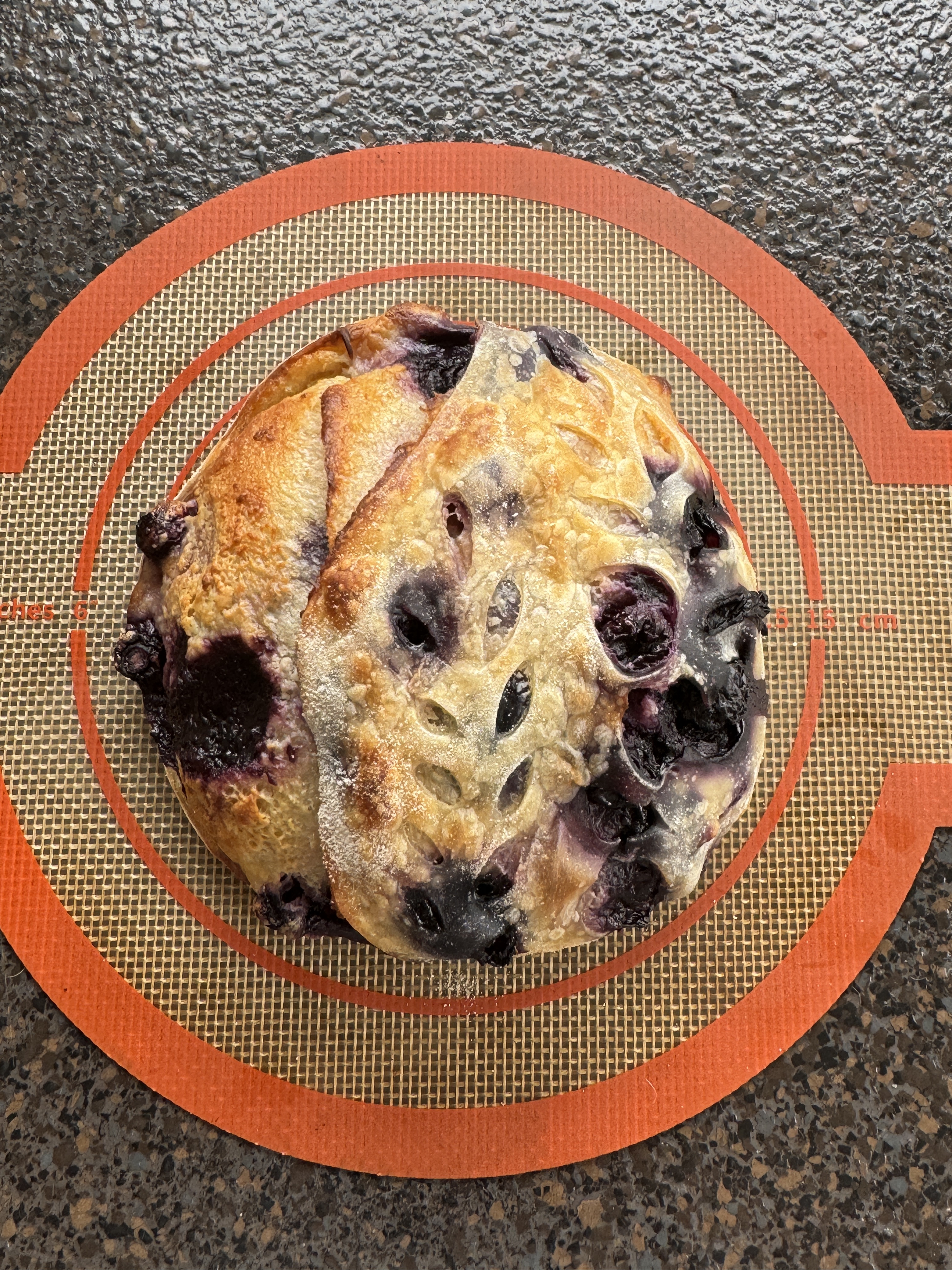 Blueberry & Cream Cheese 6”
