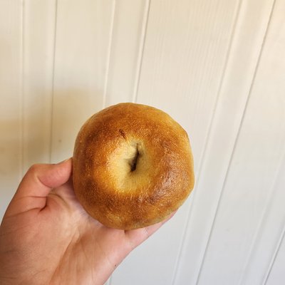 Sourdough Bagels - Plain - 6 Pack