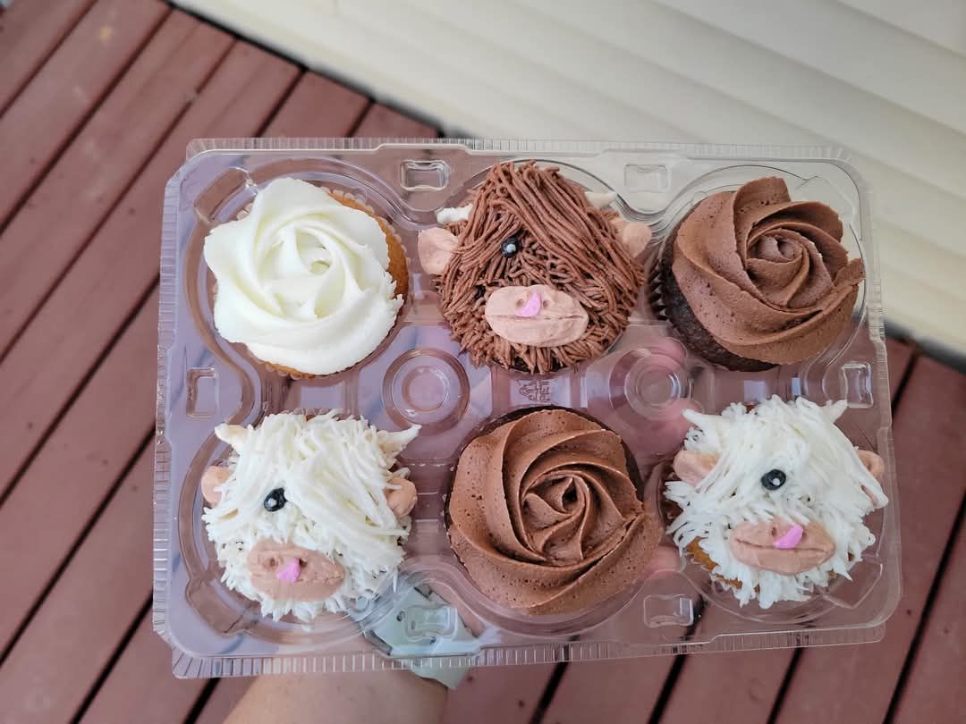 Cupcakes 