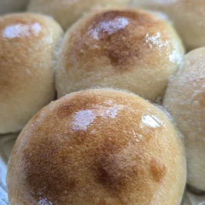 Sourdough Honey Rolls