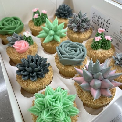 Succulents - Box Of 12
