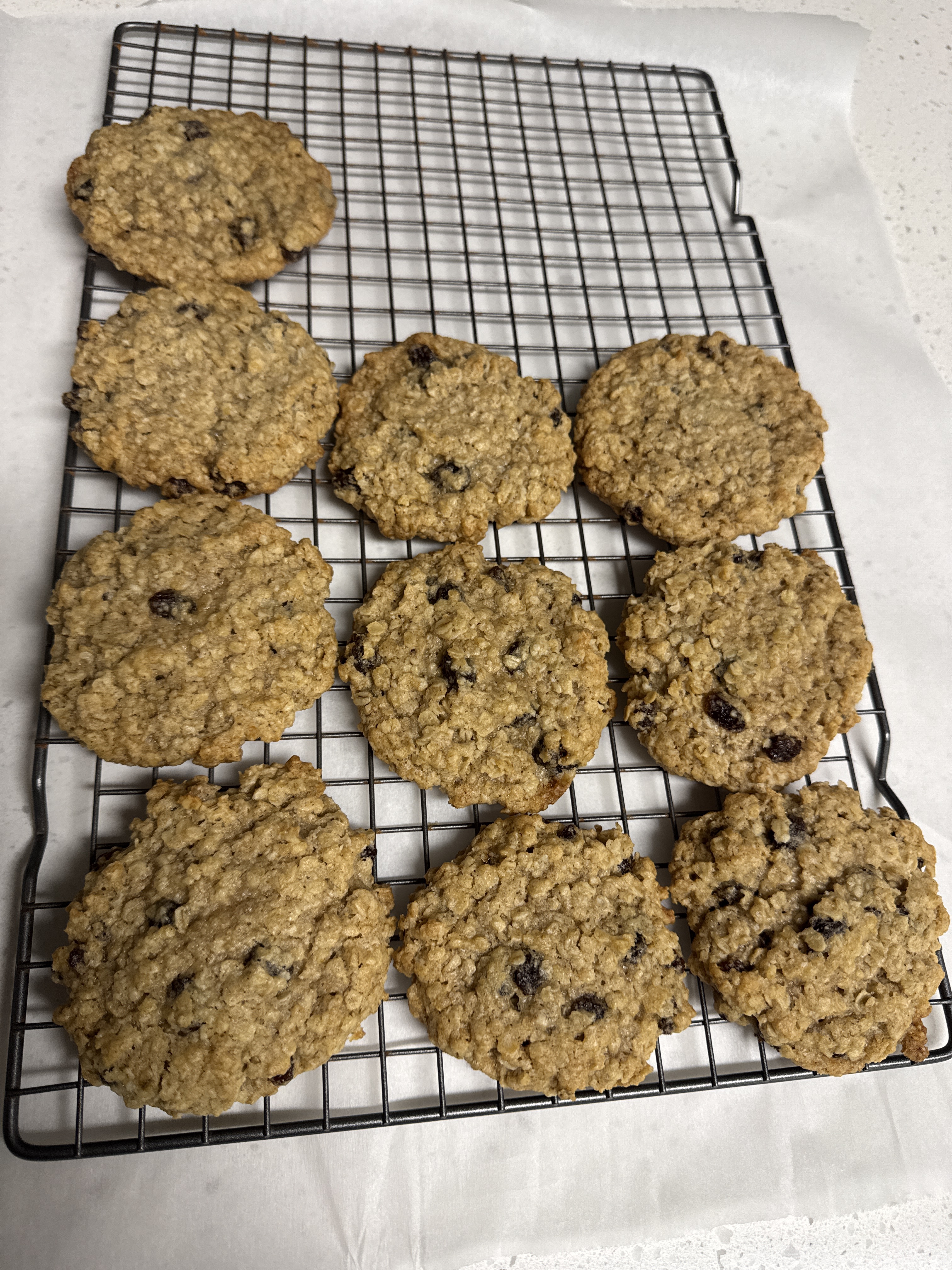 Two Dozen - Cozy Oaties