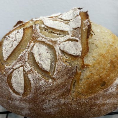 Plain Soft Sourdough (*contains milk*)
