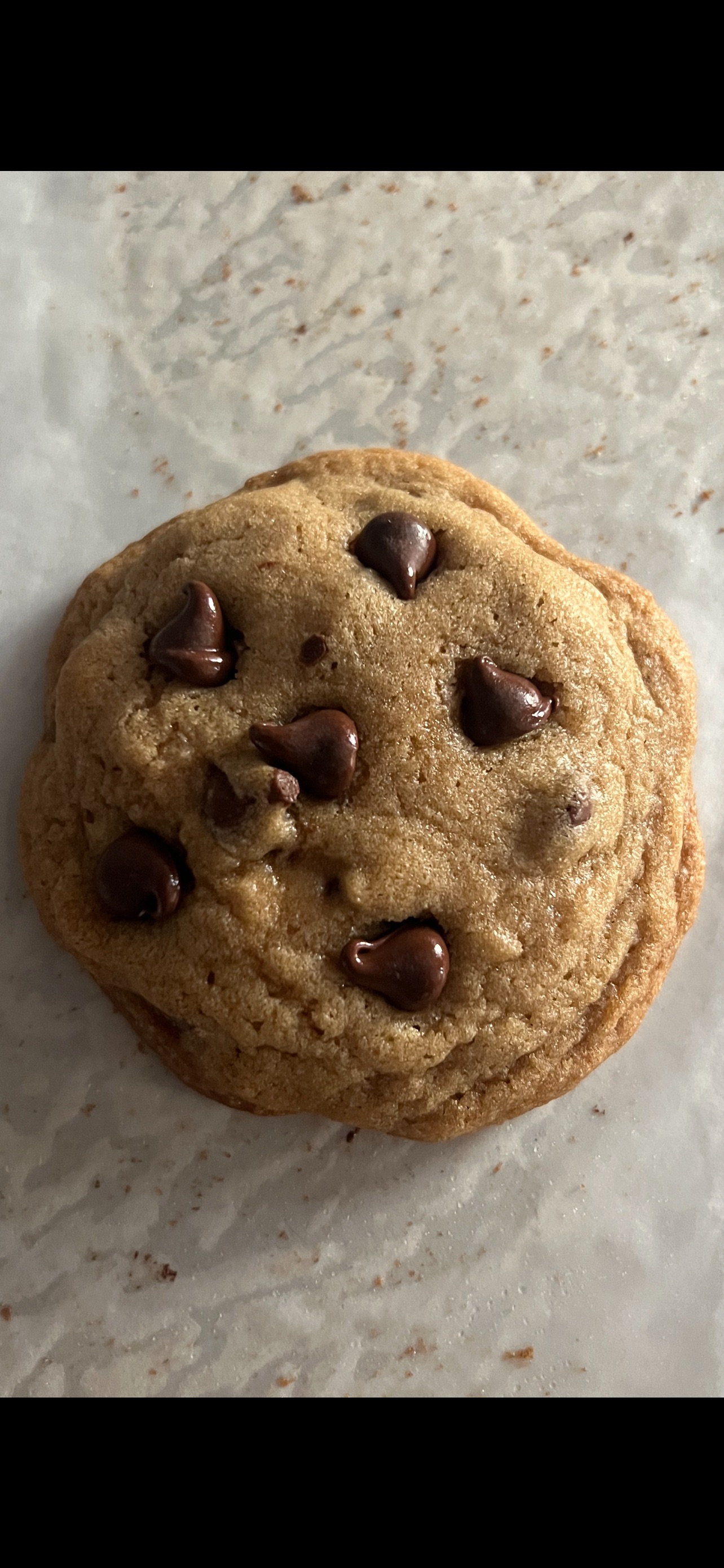 Chocolate Chip (12)