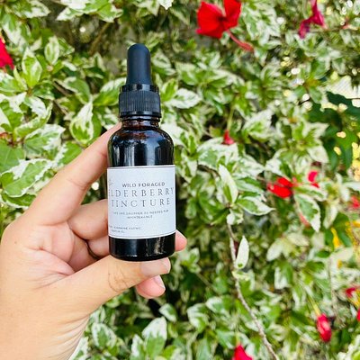 Elderberry Tincture 