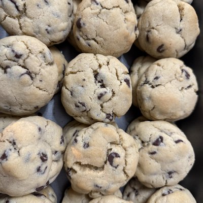 Gourmet Chocolate Chip 