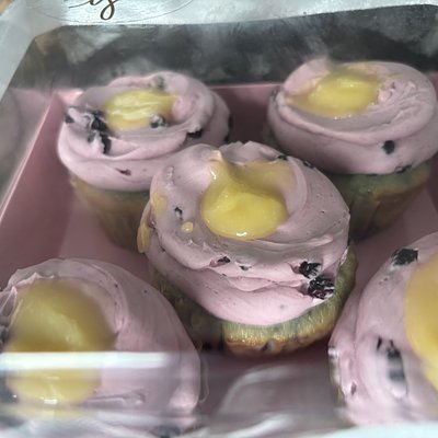 Wild, blueberry, lemon curd cupcakes, or muffins