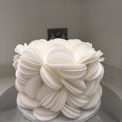 1:1 Intermediate Decorating Sessions 