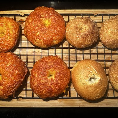 Bagels (6 Pack Only)