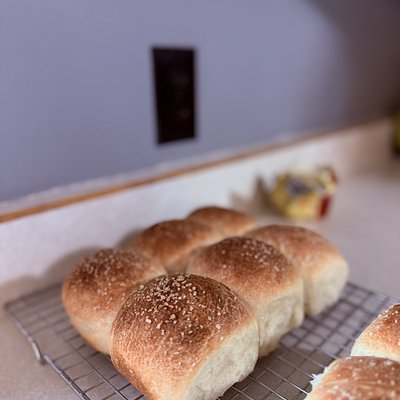 Homestyle (Yeast Based) Dinner Buns (12 PC)