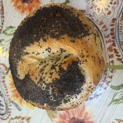 sourdough Poppyseed Bagels