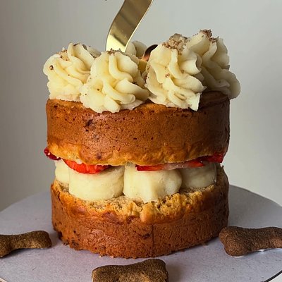 Pawty Cake 🐾