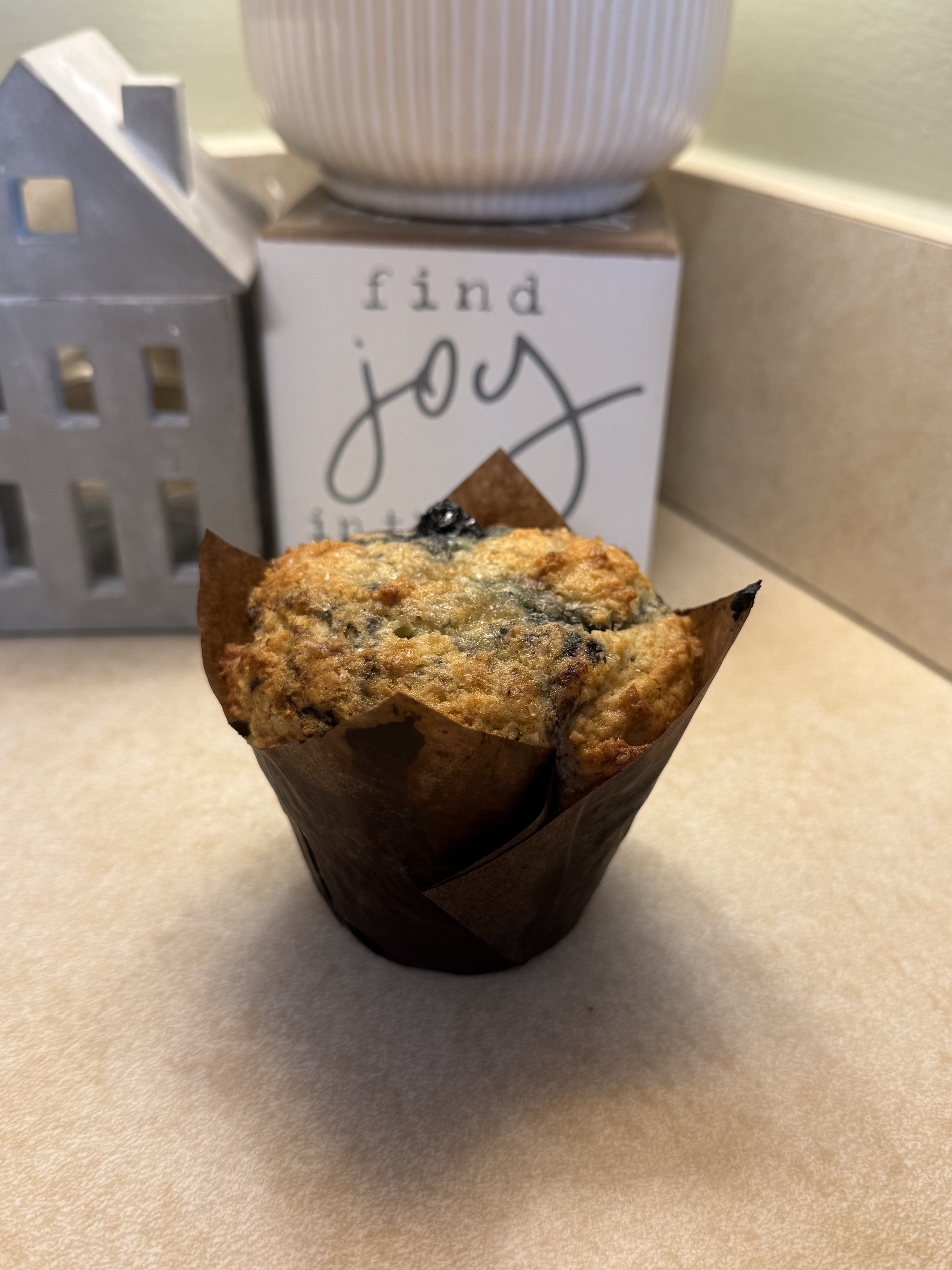 4 Pack Blueberry Muffins