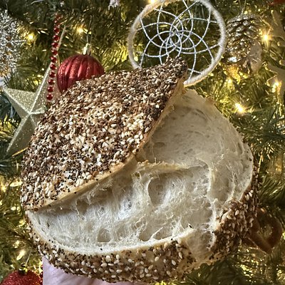 Everything Sourdough