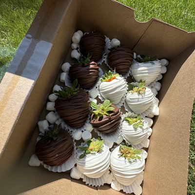 1/2 Dozen Chocolate Strawberries 