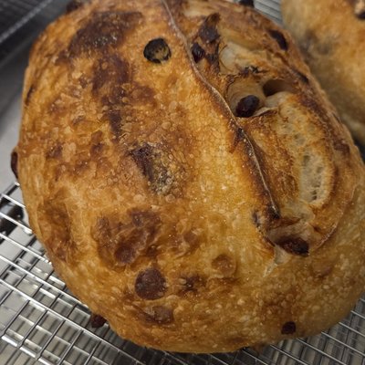 Orange Cranberry Sourdough 