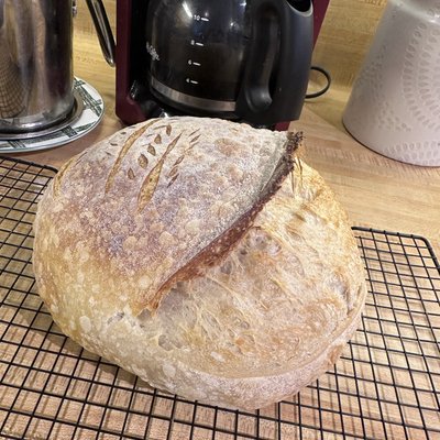 Artisan Loaf - Plain